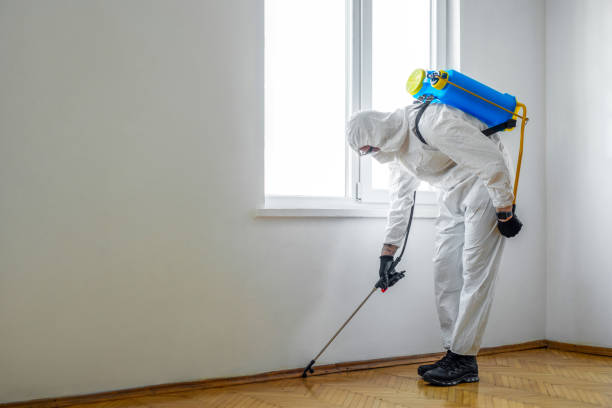 Reliable Richlandtown, PA Pest Control Solutions